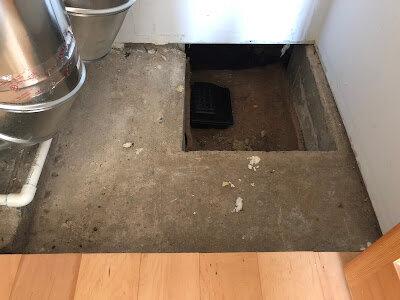 All Natural Pest Elimination