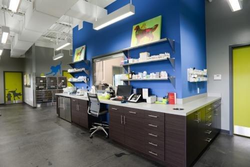 Cityvet, An Urban Animal Hospital