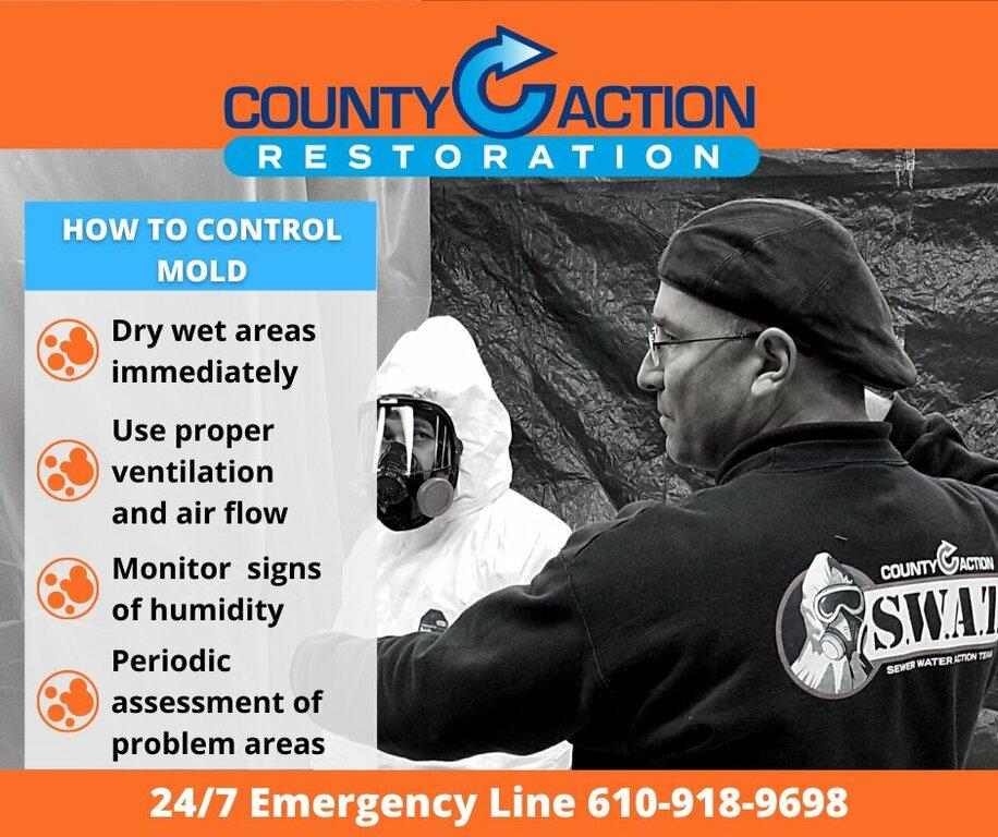 County Action Restoration