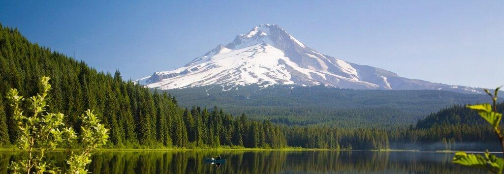 Private Wealth Senior Management Paul Wargnier