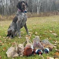 Hoerters Gander Acres