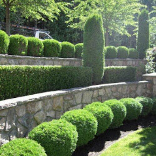 Native Green Landscapes