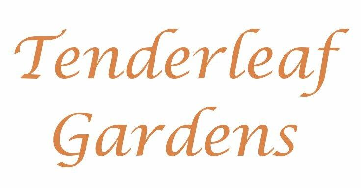 Tenderleaf Gardens, Inc