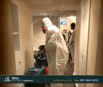 O2 Mold Testing of Gaithersburg
