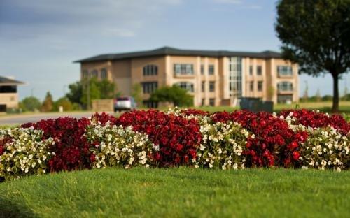 Perimeter Landscaping