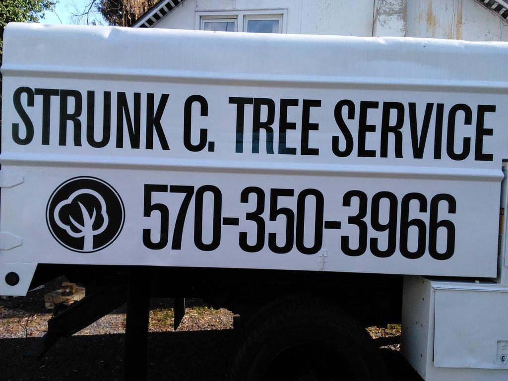 Strunk C Tree Service