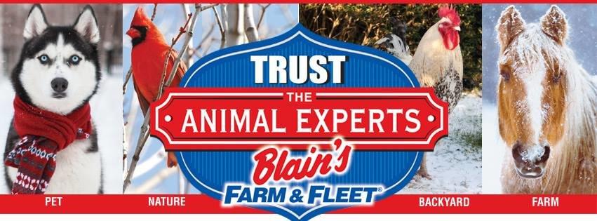 Blain's Farm & Fleet Tires and Auto Service Center-Belvidere, Il