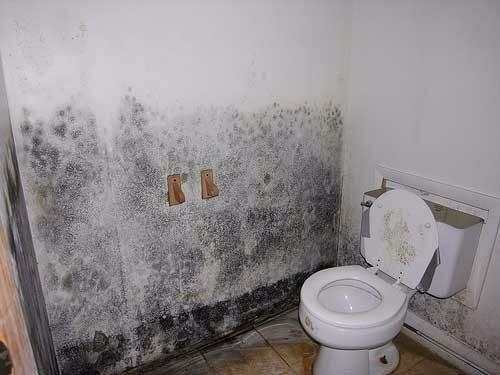 SERVPRO of Central FT Myers