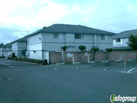 Carpet Cleaning Chicken Little