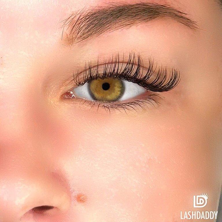 Lashdaddy Lash Extensions