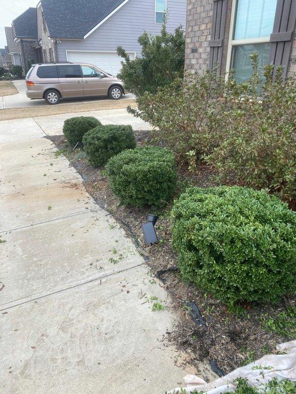 Affordable Landscaping