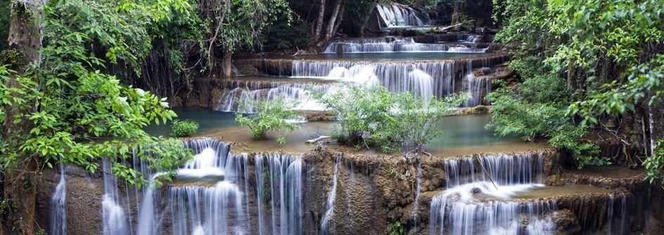 Dianne F Mess Accupuncture & Herbs