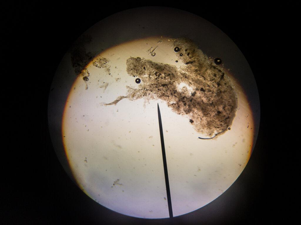 Archway Classical Academy