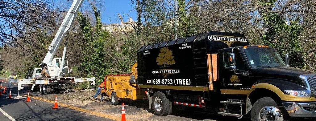 Quality Tree Care Arborist & Tree Removal