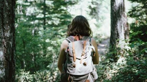 Elevate Wellness and Vitality