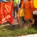 New View Tree Care LLC