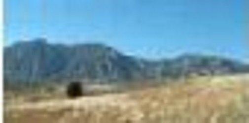 Cheyenne Mountain Insurance Solutions