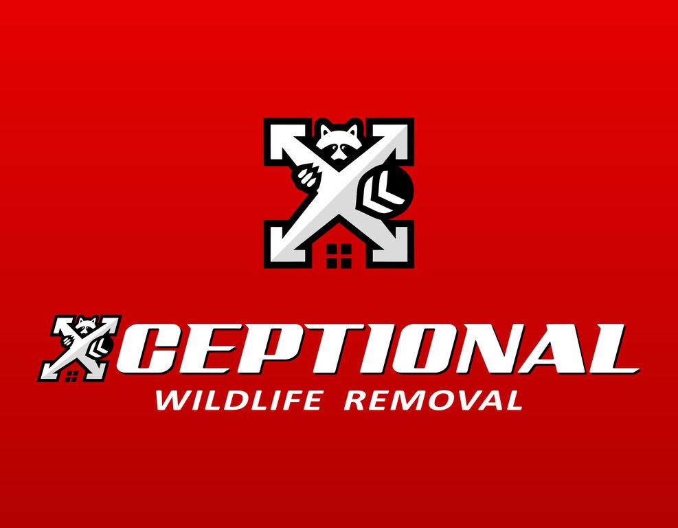 Xceptional Wildlife Removal