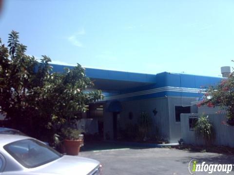 Primo Auto Collision