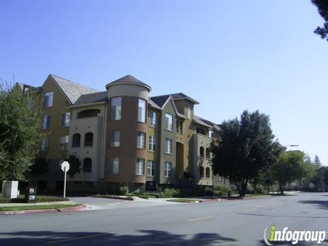 Spearhead Networks Inc