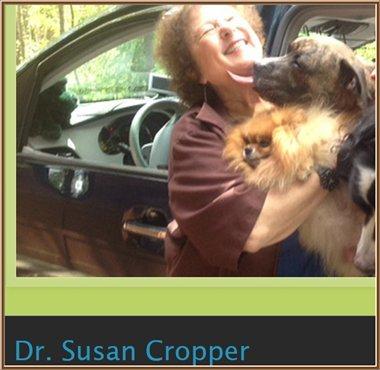 Dr Susan Cropper