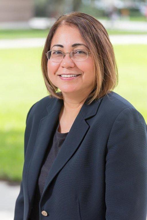 Law Offices of Alison M. Lopes, P.A.