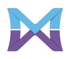 Millennial Wealth LLC