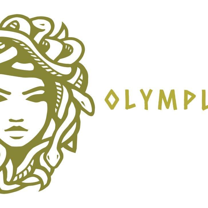 Olympus Traffic Survival School