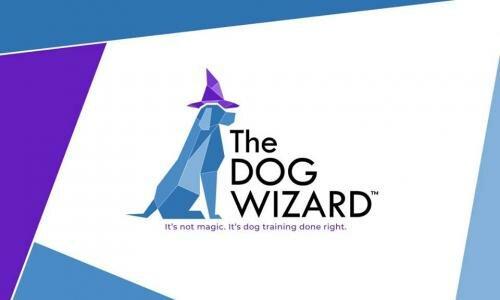 The Dog Wizard Cincinnati