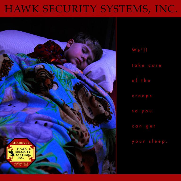 Hawk Security Systems Inc