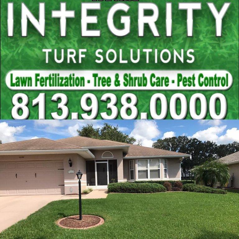 Green 365 Lawn & Pest Solutions LLC