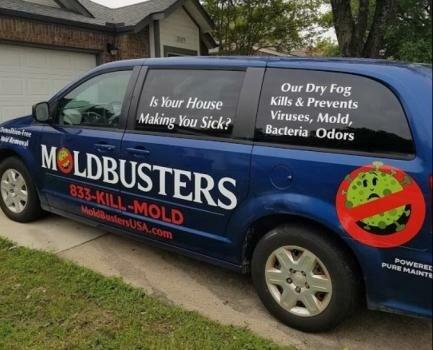 Mold Busters Denton