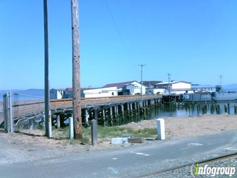 Ifocus Consulting Inc