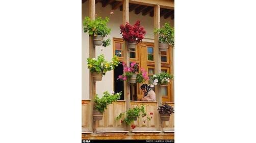 Paradise Nursery www.paradisenursery.com