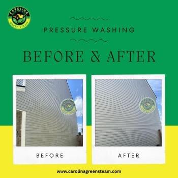 Carolina Green Steam