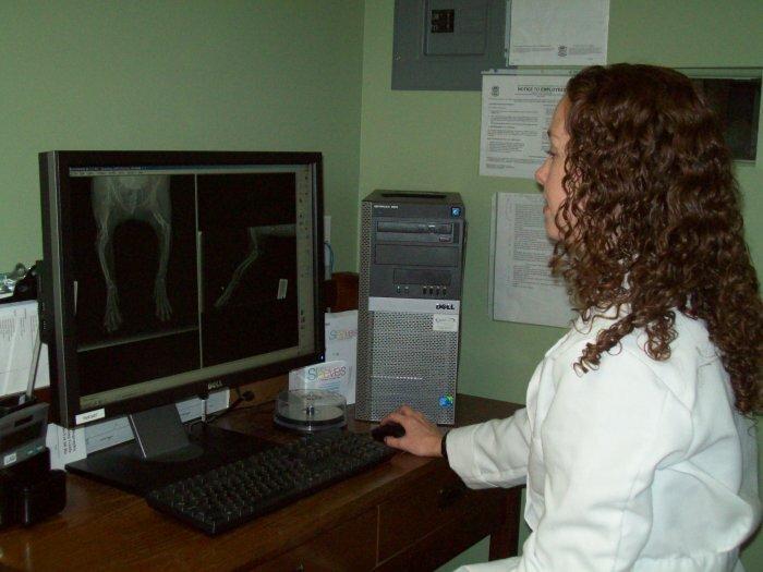 VCA Clinton Township Animal Hospital