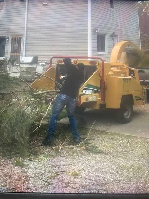 United Tree Service