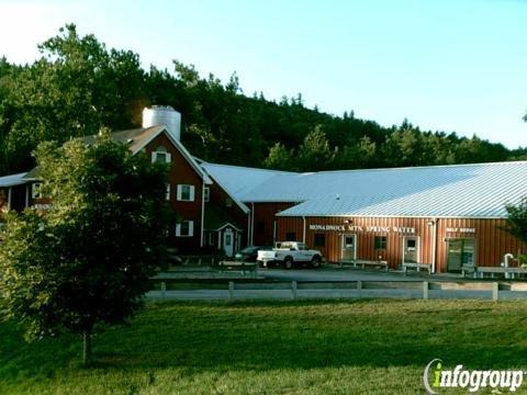 Monadnock Mountain Springwater