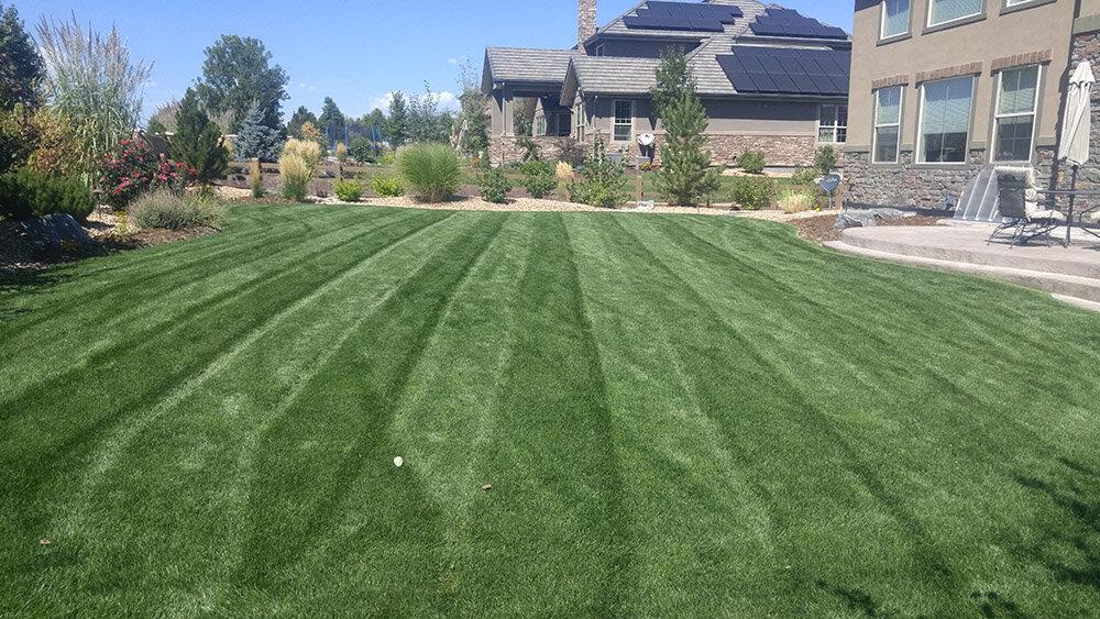 Epic Lawn Pro