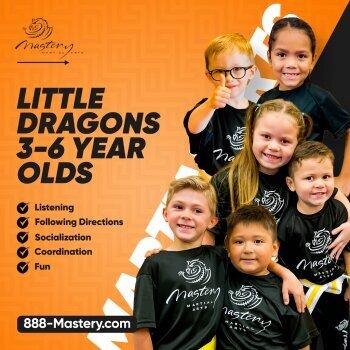 Mastery Martial Arts-Barrington