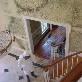 IDC Fire and Water Restoration Athens
