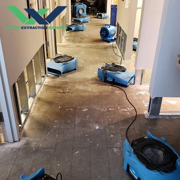 Water Extraction Experts