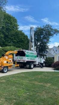 Top Climber Tree Service Corp