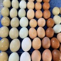 Stable 41 Farmers Market