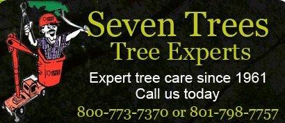 Seven Trees Tree Experts