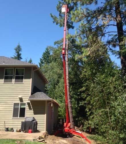 Hodgson Tree Service Inc