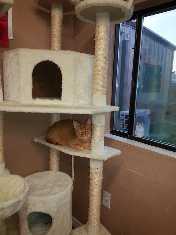 Bar N Veterinary Clinic, PC