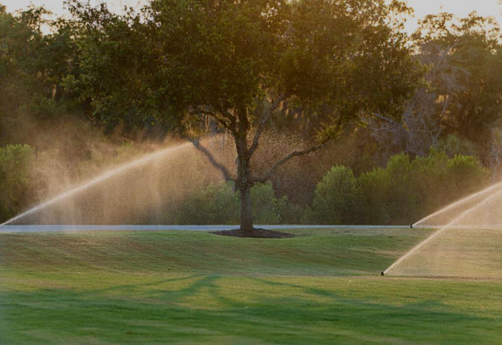 Mowtown Lawn and Landscape