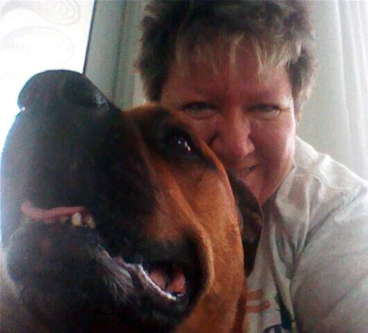 Pet Sitters and More Dog Walking and Pet Sitting Broward County