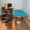 VCA Canada Askey Animal Hospital
